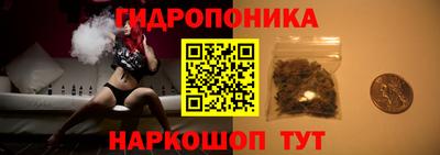 Альфа ПВП Кимры
